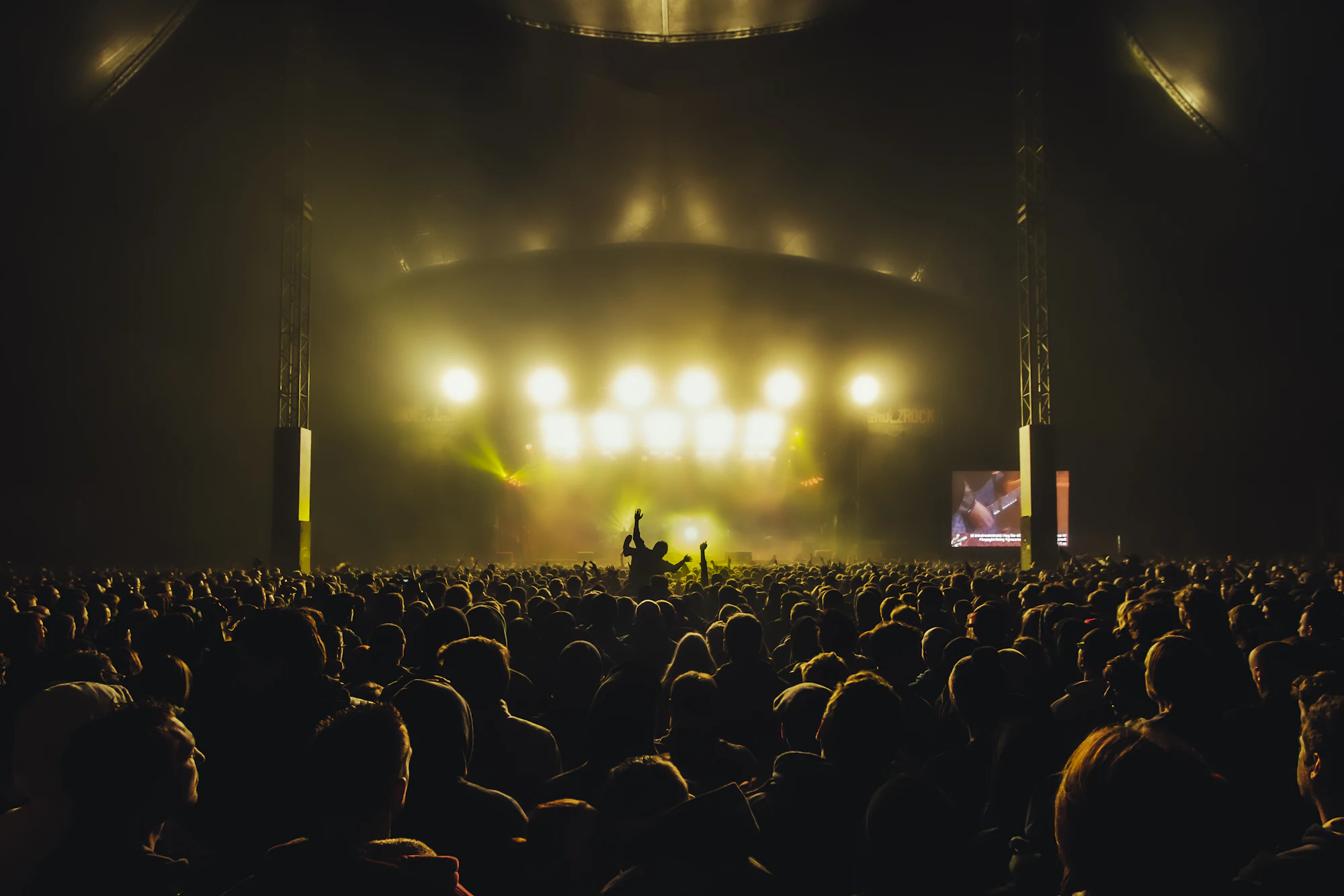 A crowd at a live concert
